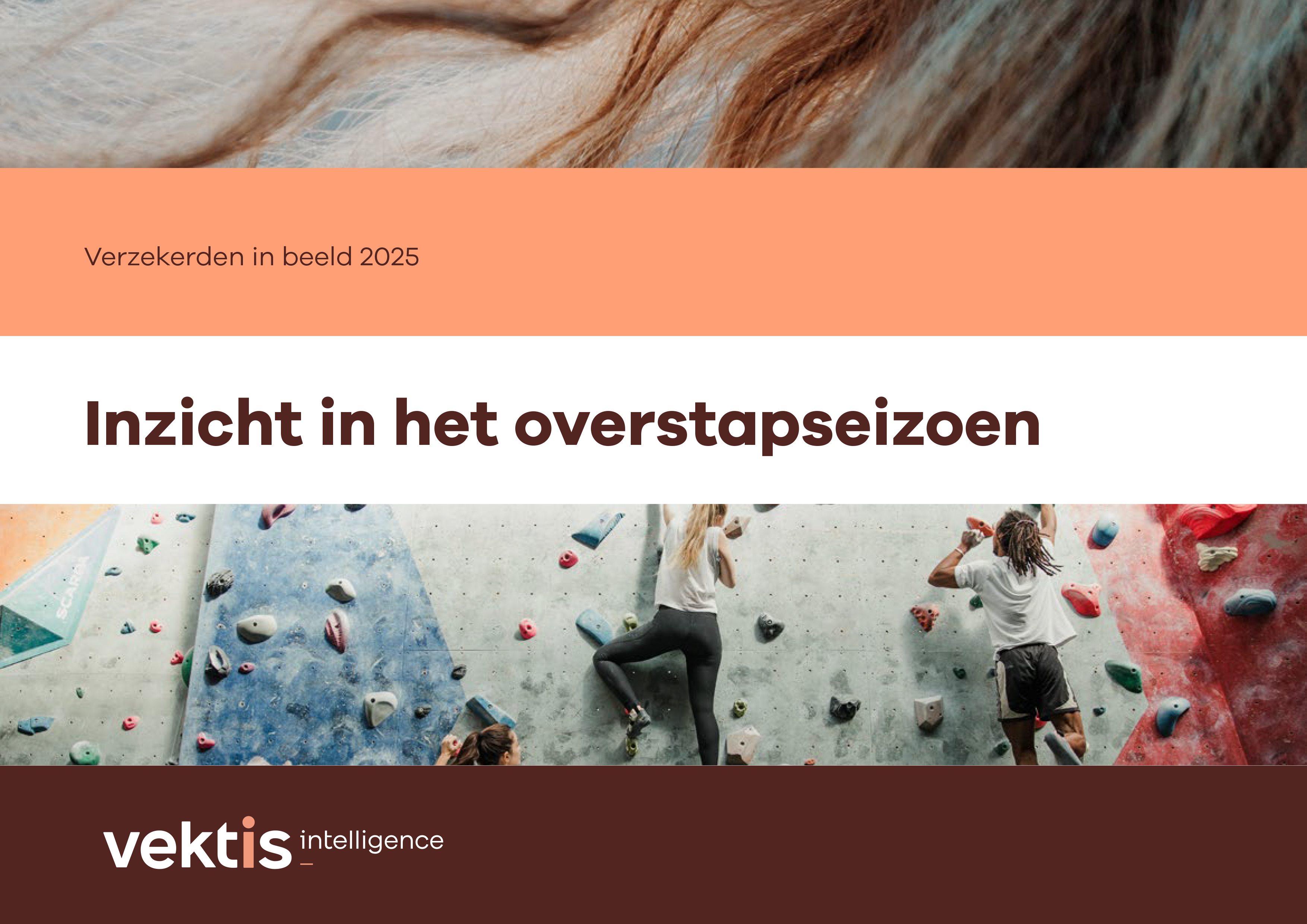 Voorblad_Zorgthermometer Verzekerden in Beeld_2025.png